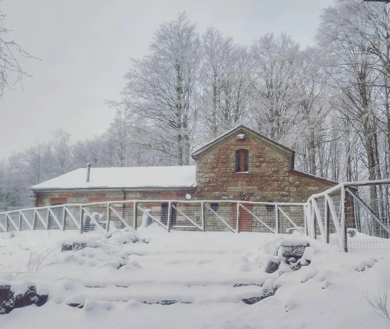 Chalet Vecchio Rifugio - Monte Amiata Castel del Piano  Włochy