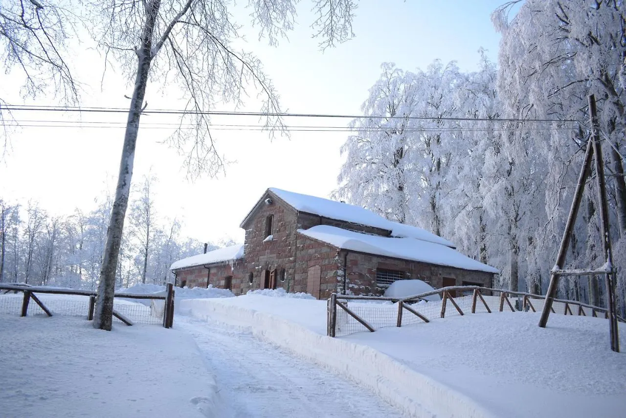 Chalet Vecchio Rifugio - Monte Amiata Castel del Piano  Italia