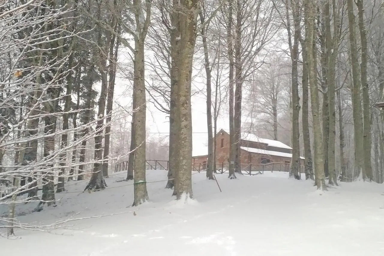 Chalet Vecchio Rifugio - Monte Amiata Castel del Piano